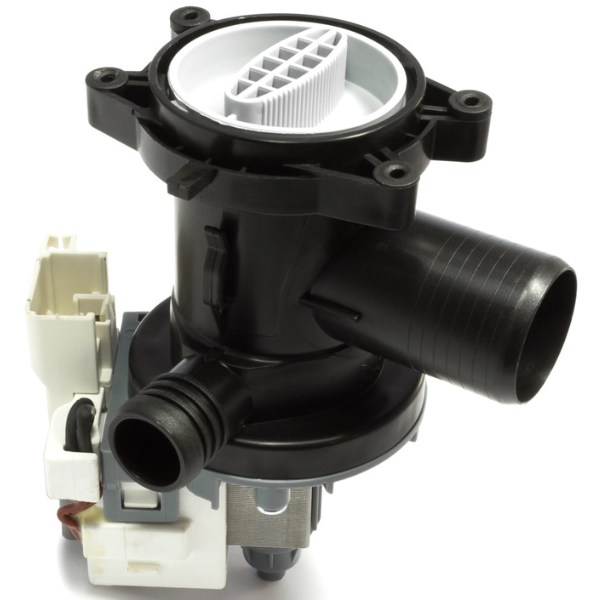 Aggiungi corpo del testo - 2023-09-13T155827.834